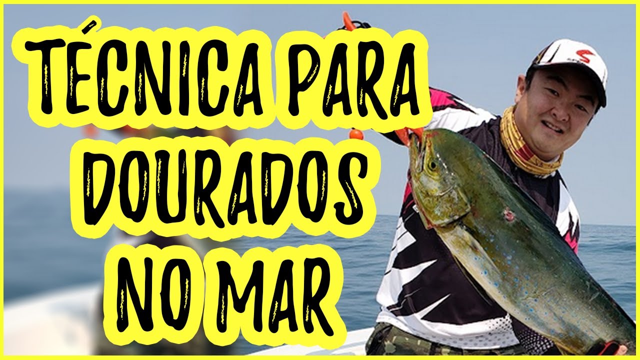 Técnica para Pegar Dourados de Água Salgada - Pescaria No Alto Mar para Pegar Dourados