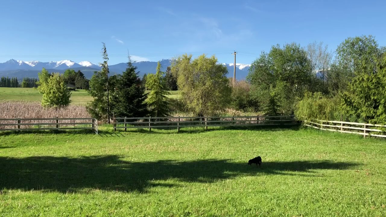 Sequim Summer Breaks