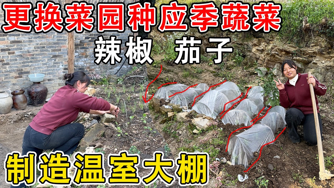 老房子有两块地  重新规划菜园种应季蔬菜，自己制造温室大棚，看着菜园太有成就感了！
