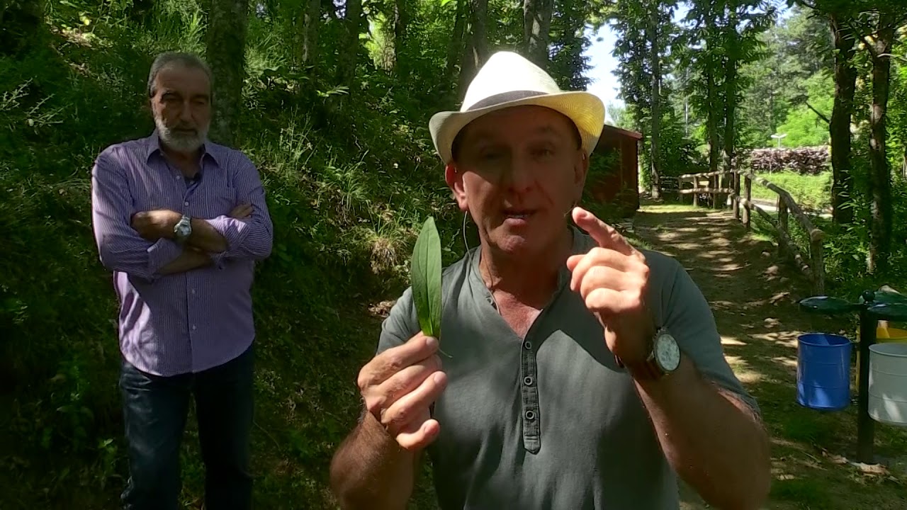 I colori del serchio NoiTv a cura di Abramo Rossi con Marco Pardini a Crasciana BL 3