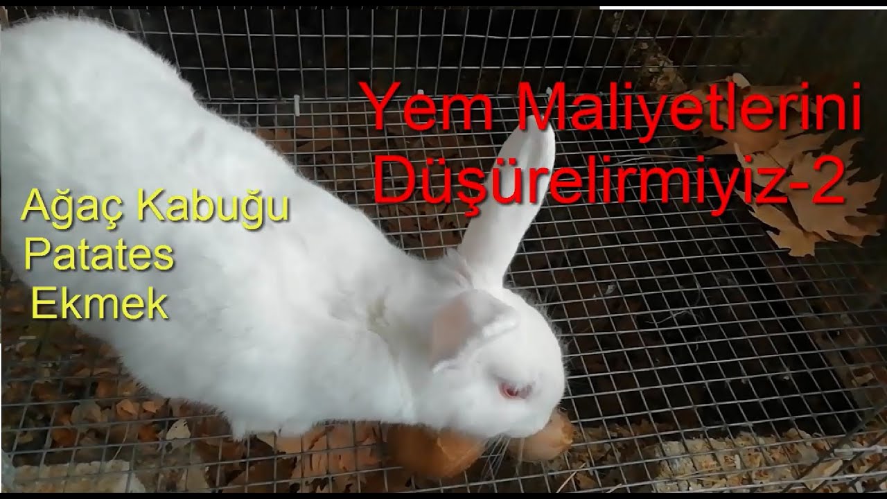Yem Maliyetlerini düşürebilirmiyiz-2