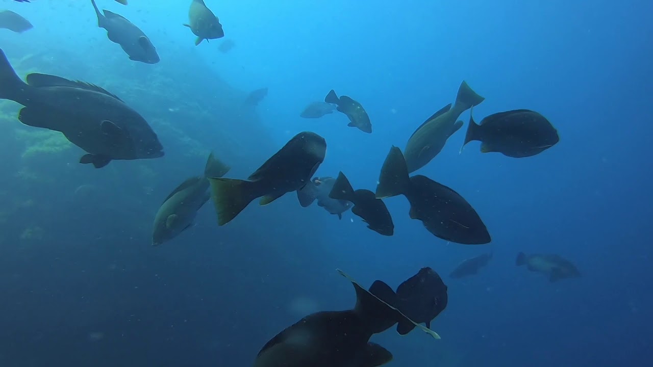 ESPECTACULAR BAJO DE DENTRO (CABO PALOS)