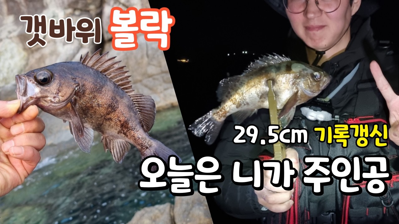 동출한 친구 볼락 기록갱신 | 볼락루어낚시 