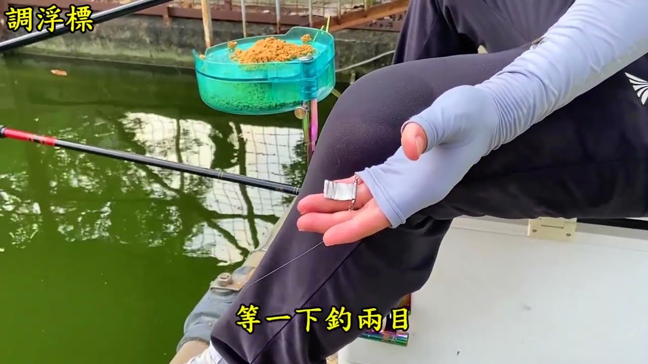 社口烏鰡魚池｜釣友提問：如何釣吳郭魚 ? 敏釣釣組、倒折釣組、走鉛釣組分享給你｜戰哥愛釣魚