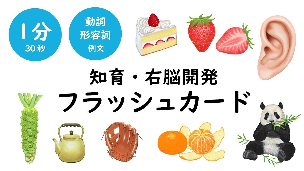 ③右脳開発MIXフラッシュカード（動詞・形容詞例あり）