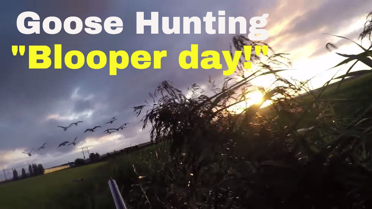 Goose hunting (ganzenjacht) with a browning B25 in Holland 
