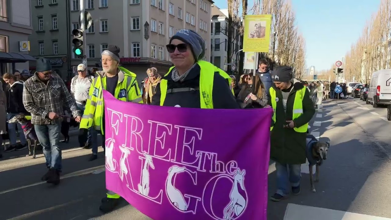 Zusammenfassung des 2. Münchner Galgomarsch von Petra Dilthey