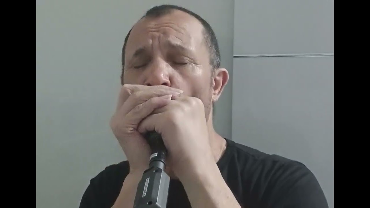 Simplesmente #Gaita #Harmonica #Escalas #Exercícios #Musica #Harp #Blues #GaitaBlues #ForYou #Viral