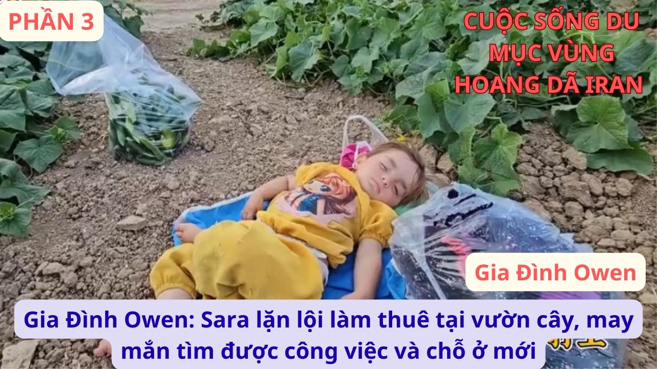 Gia Đình Owen: P3 Sara lặn lội làm thuê tại vườn cây, may mắn tìm được công việc và chỗ ở mới
