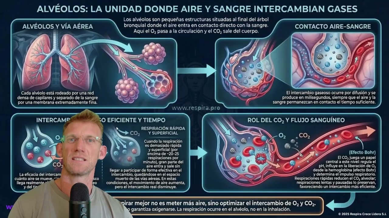 Certificaci&oacute;n Instructor de Respiraci&oacute;n | Fisiolog&iacute;a aplicada y experiencia real