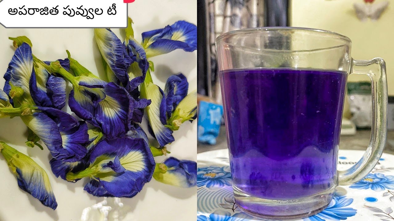 శంకుపుష్ప టీ/blue tea/sugar control tea/butterfly pea flower tea/Aparajita flower tea/tea recipes