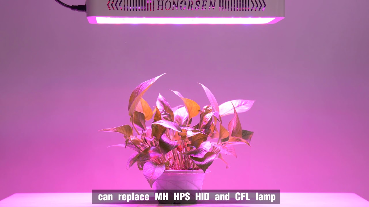 HONORSEN Full Spectrum Led Grow Light for Indoor Growing