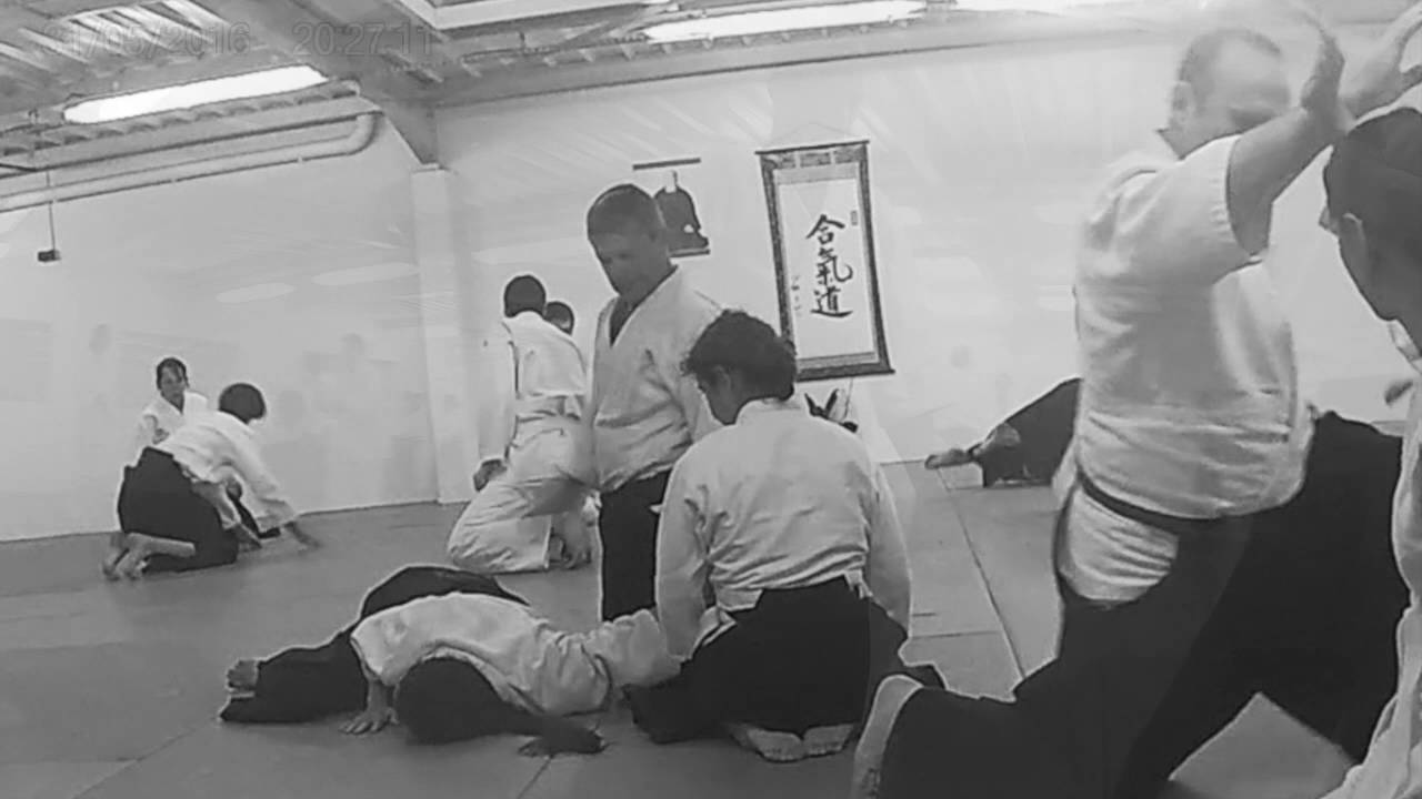 Michel Lapierre 5&deg; Dan A&iuml;kido au Dojo Fabrice Crois&eacute; 5&deg; Dan A&iuml;kido