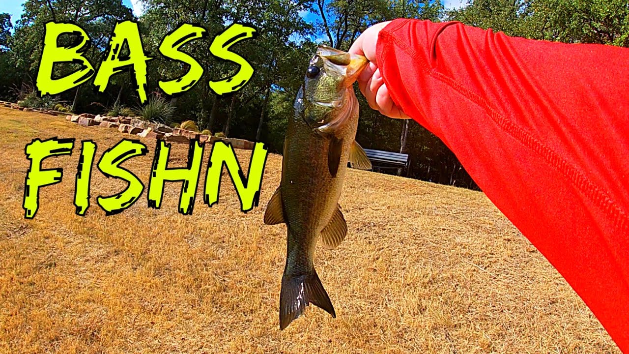 A Basstastic Day!