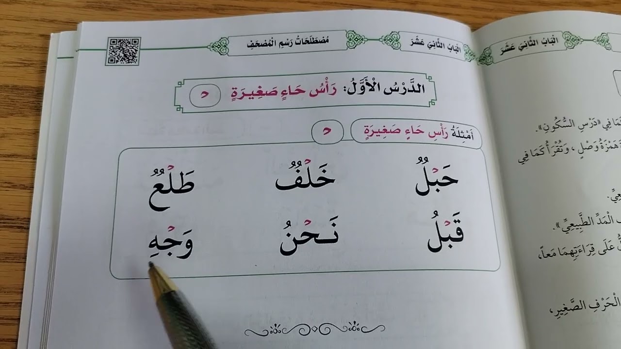 Chapter 12:lesson 1&2: head of small haa and saad#madinahbook#goviral #alqaaidatulmadaniya