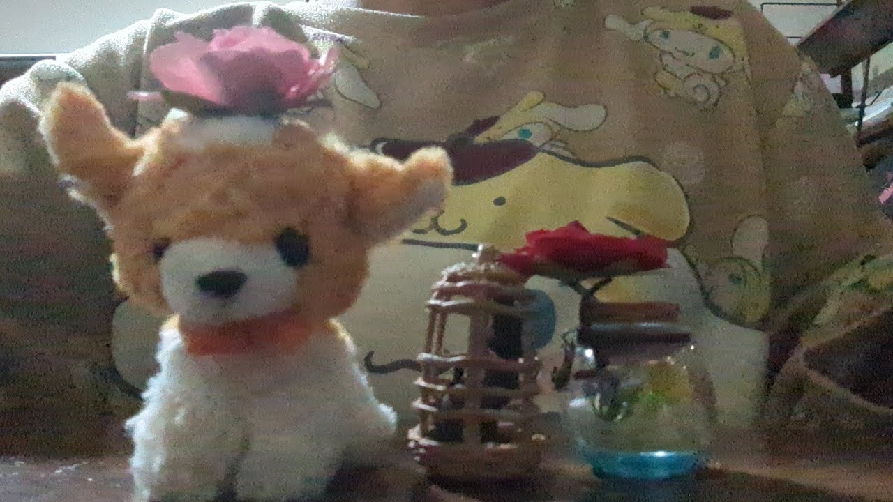 近くにあった物でASMR
