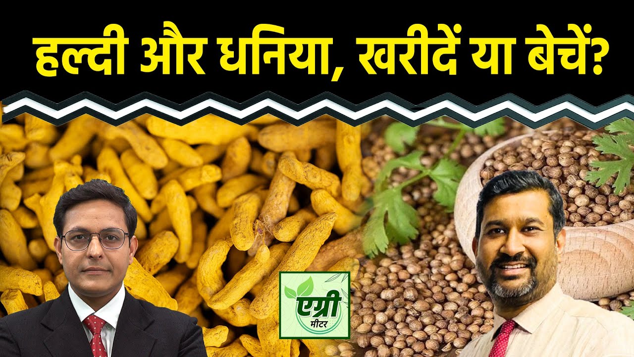 Commodity Market : शॉर्ट टर्म के लिए हल्दी और धनिया का क्या है प्राइस आउटलुक? Trading | Agri