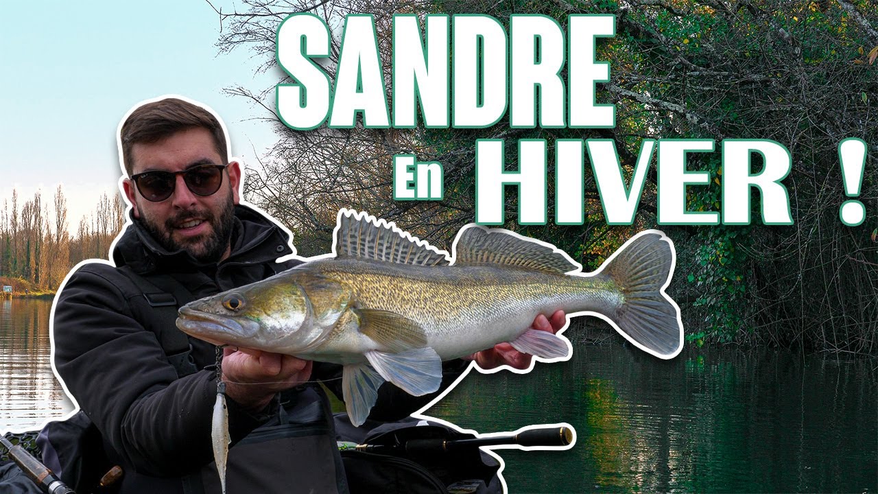 Comment PÊCHER le SANDRE en HIVER ! Nos CONSEILS & ASTUCES...
