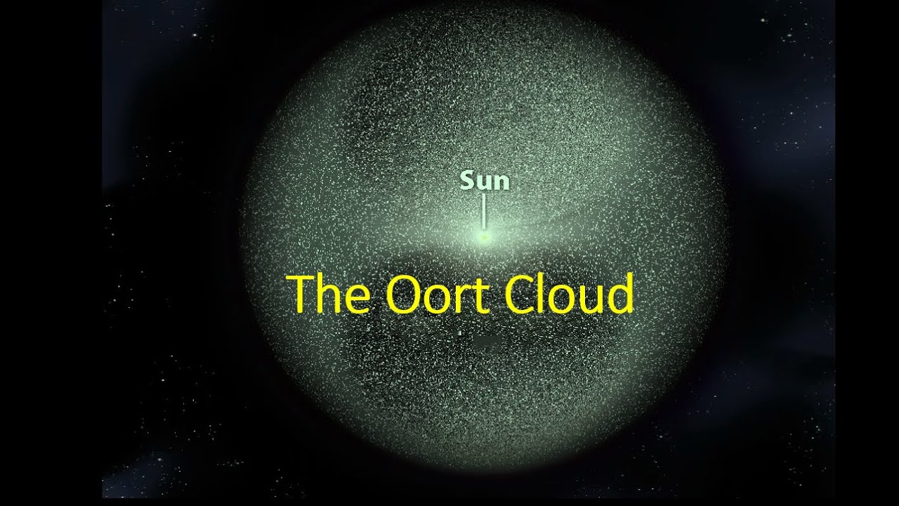 The Oort Cloud