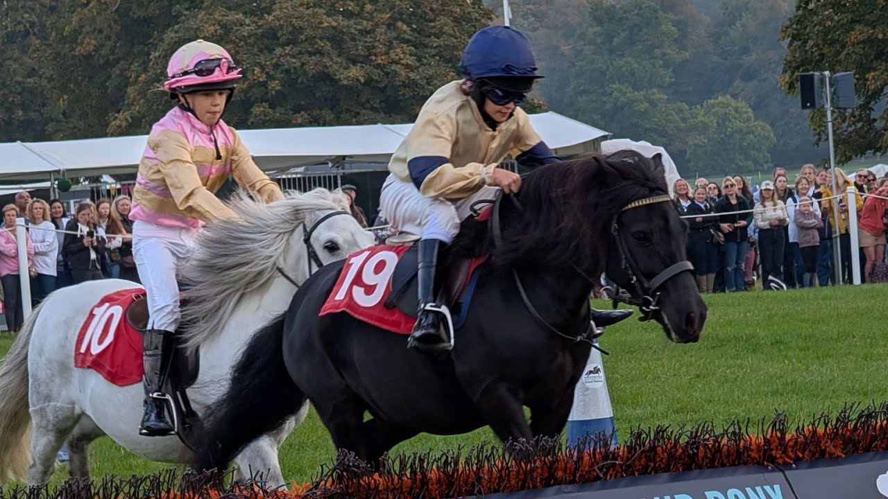 International Shetland Pony Race at Blenheim Palace!#blenhiempalace #ponyrace #subscribe