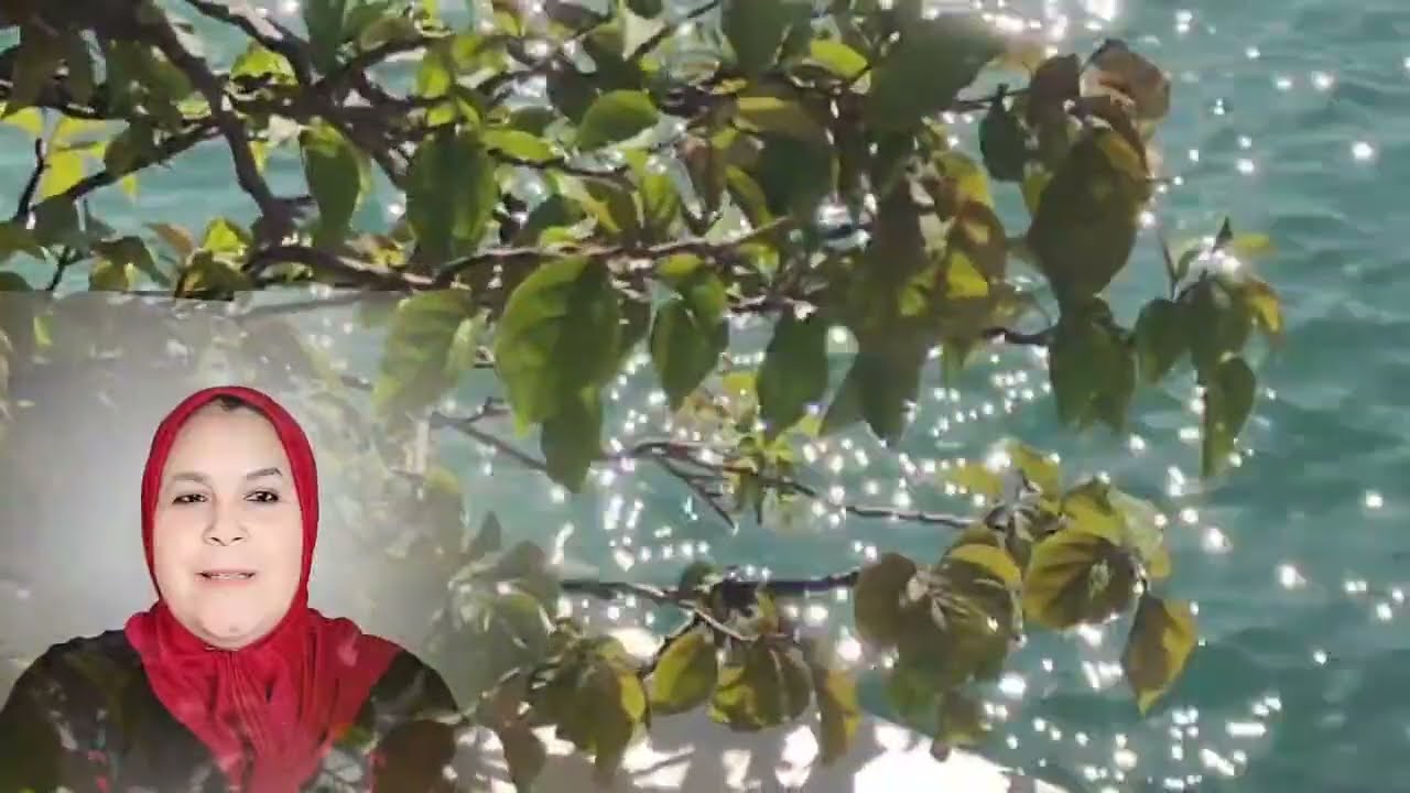 شاخدة 😱🔥على العمات والعائله تجمعات وكلاشات بالجمله وحفصه شرشموها😲