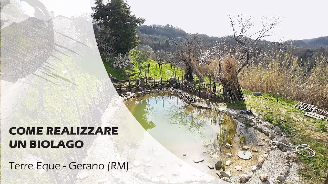 BIOLAGO e fitodepurazione VERTICALE con Minibraga Liquid Wood