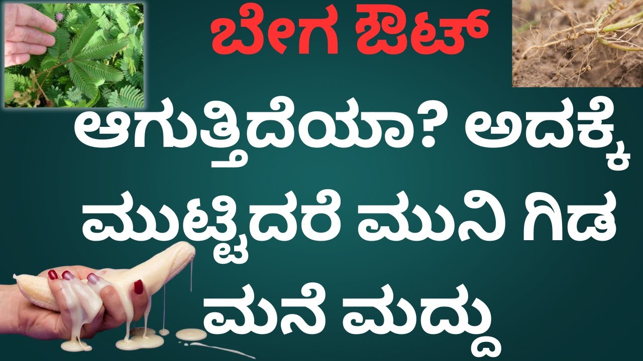 ಶೀಘ್ರಸ್ಕಲನಕ್ಕೆ (ಬೇಗ ಔಟ್) ಮುಟ್ಟಿದರೆ ಮುನಿ ಗಿಡ ಮನೆ ಮದ್ದು | Doctor Talks Kannada