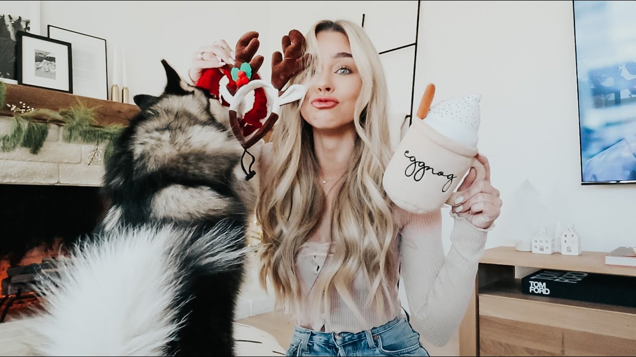 making tik toks, holiday dog haul, cook with me! vlogmas day 10!
