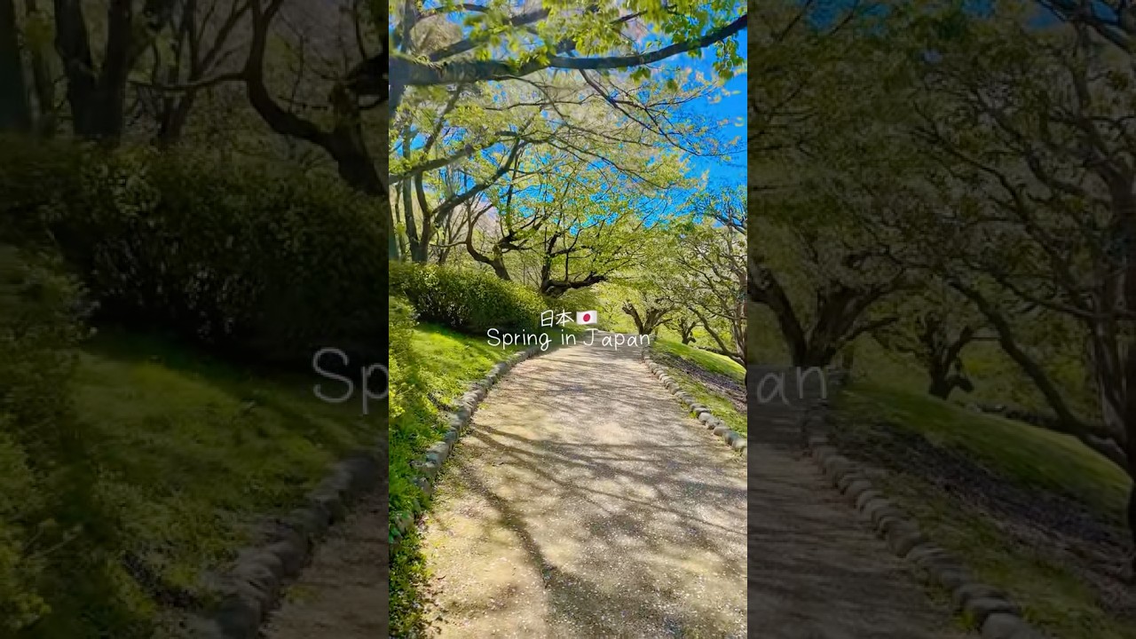 Remembering spring time in Japan #japan #animeaesthetic #asia #vlog #asmr #japanaesthetic #spring