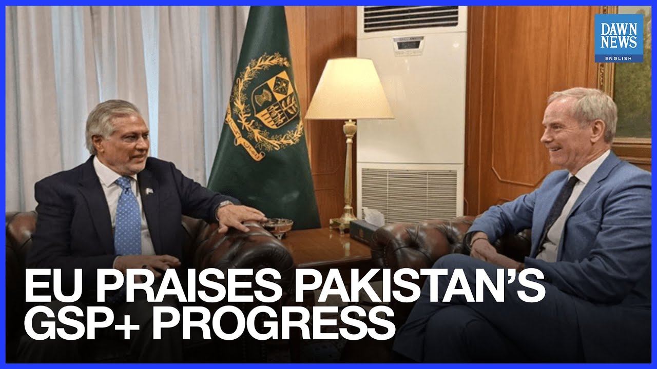 EU Welcomes Pakistan&rsquo;s Progress on GSP+ Conventions Implementation | Dawn News English
