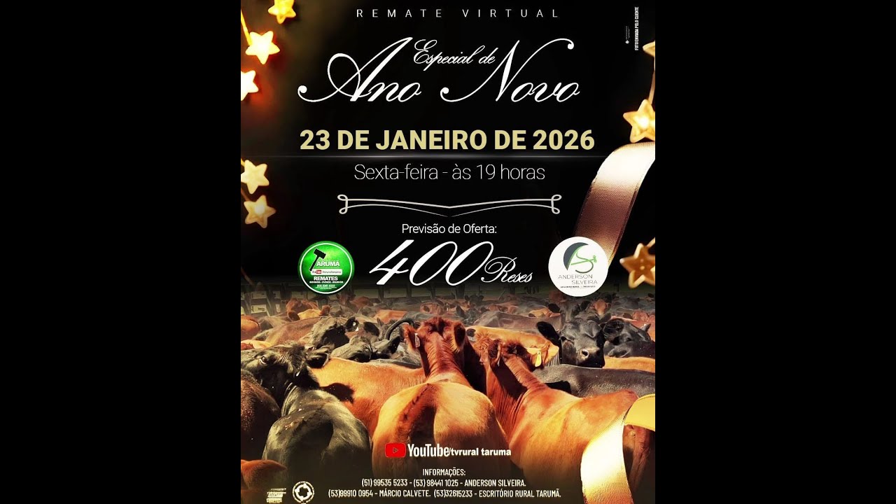 LOTE C - 01 BORREGO - 4 DENTES