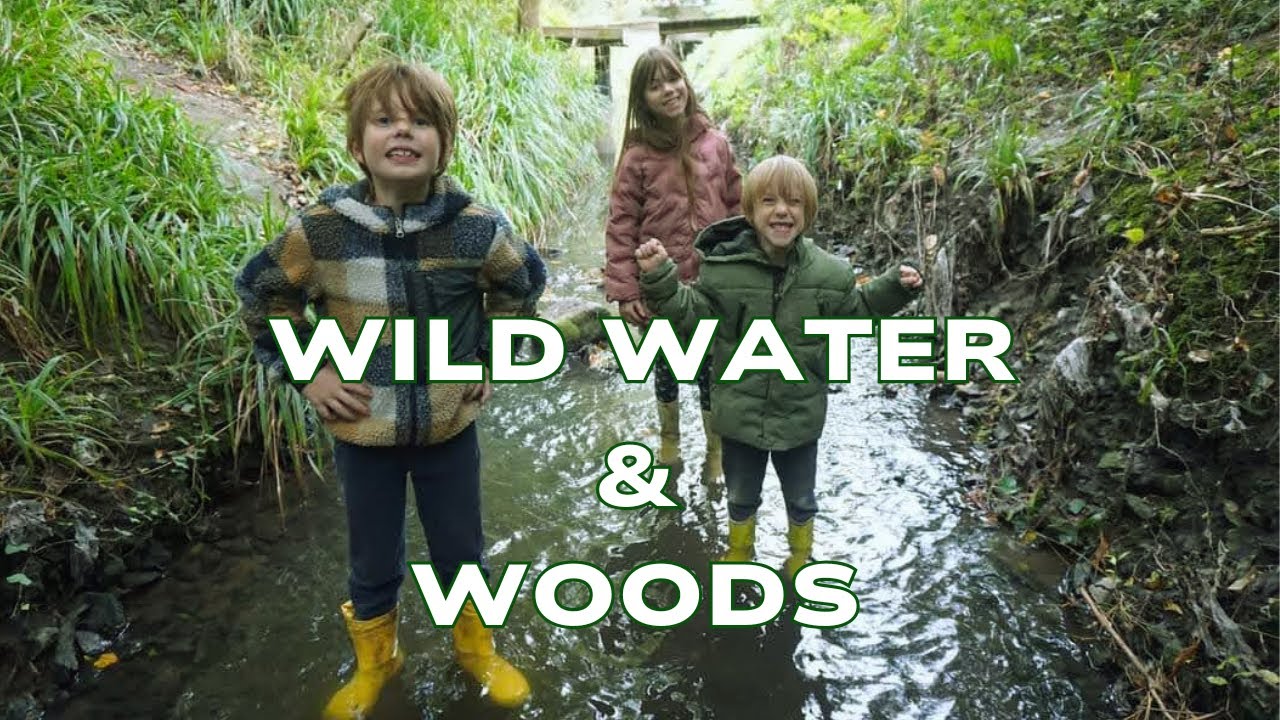 Forest Schooling in October – Ice Baths, Mushrooms & Nature Magic ❄️🍄