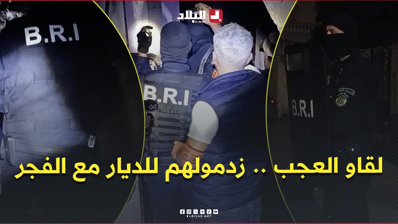 قوات BRI البليدة تداهم وتطيح بعصابات أحياء في مفتاح .. حجز مخدرات وأسلحة بيضاء وتوقيف 9 أشخاص