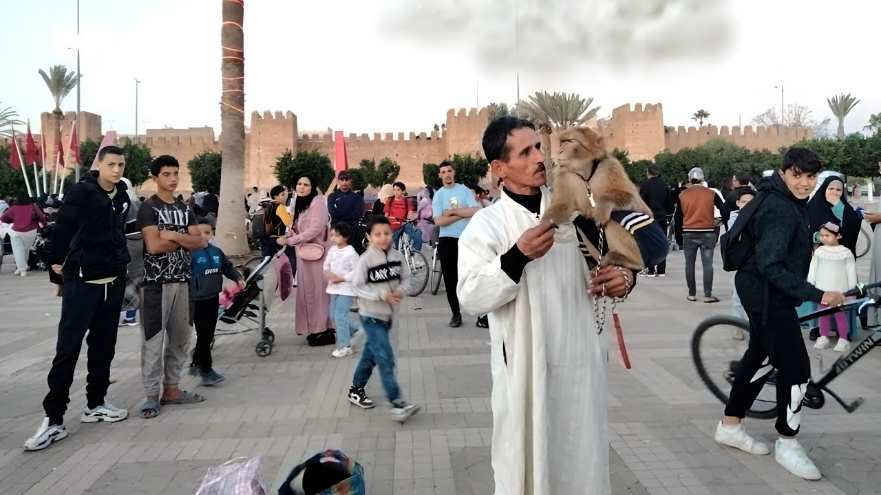 عرضو علينا في ساحة 20 غشت في مدينة  تارودانت دوزنا احسن نهار كلو ضحك ونشاط🔥