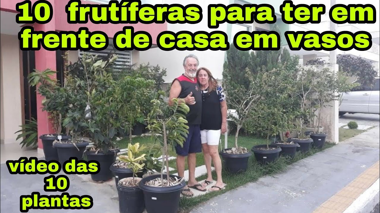 10 ÁRVORES FRUTÍFERAS QUE PODE PLANTAR EM VASOS, FÁCIL EM CASA