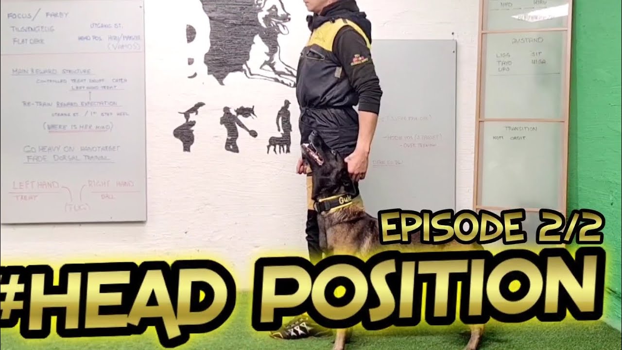 HEAD POSITION TRAINING pt2