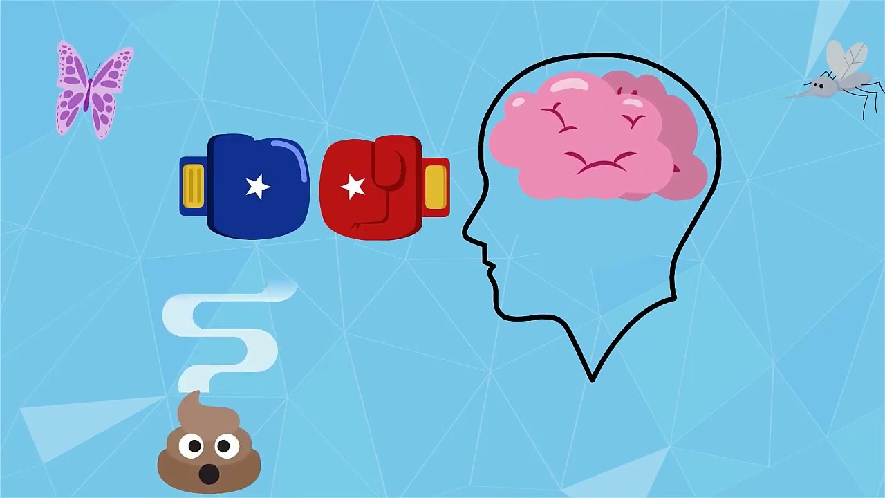 Le système de l'attention 1 : L'attention, une fonction du cerveau très utile!