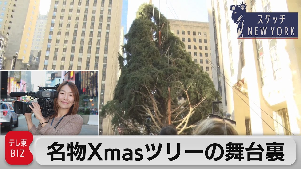 NY巨大クリスマスツリーの裏話　目利き30年のトップガーデナーがひと目ぼれした巨木とは【スケッチ New York】（2023年11月23日）
