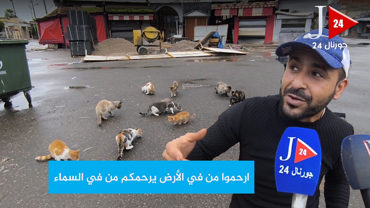 فضل إطعام القطط رغم مخاطر الفيضانات بمدينة القصر الكبير