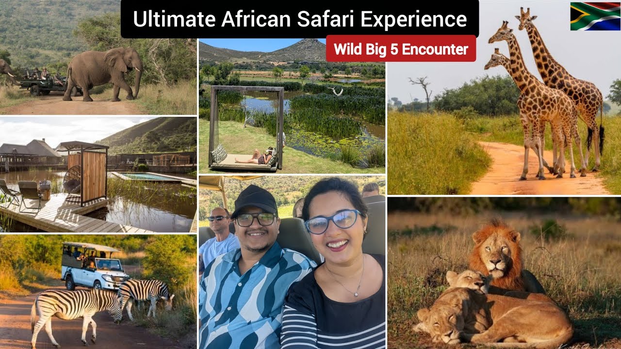 Big 5 Jungle Safari Game Drive Reserve | Wildlife Adventure near Mossel Bay | Swellendam Vineyards