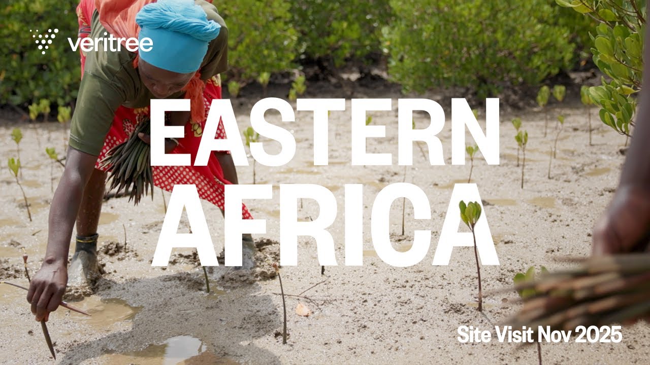 East Africa 2025 • veritree Site Visit  | Reforestation, Wildlife & Community Highlights