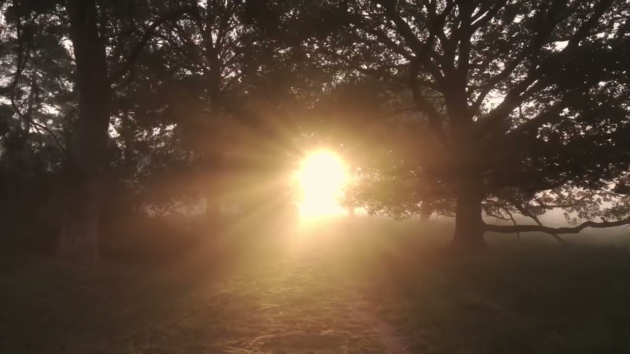 Antes que salga el sol