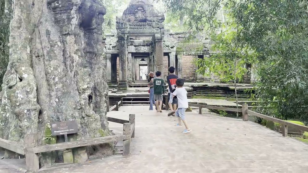 Trip at Ta Prohm Temple #savytube #Tapromtemple #cambodia #travelvlog