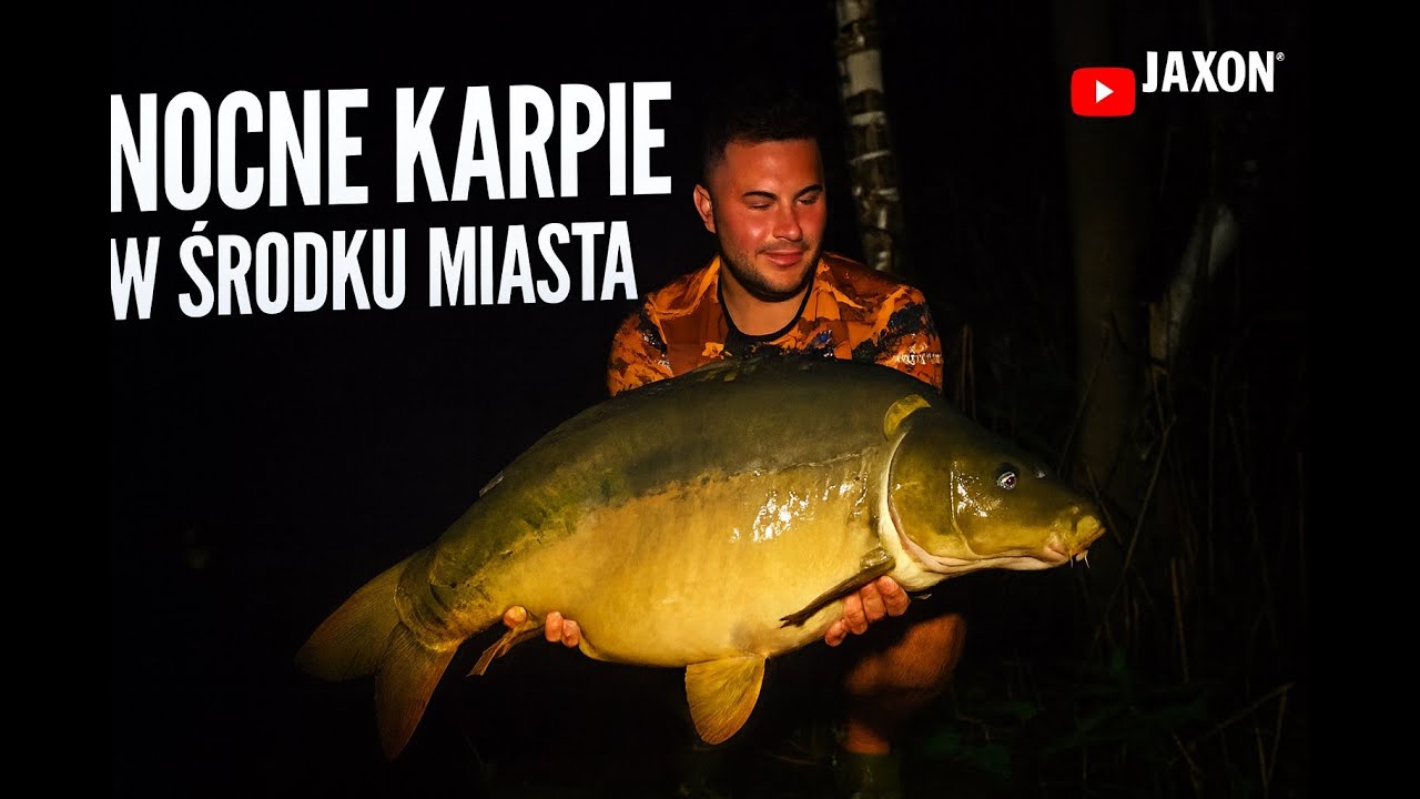 NOCKA W MIEŚCIE – ZŁOWILIŚMY PIĘKNEGO KARPIA - Karpiowe przygody JAXON #2
