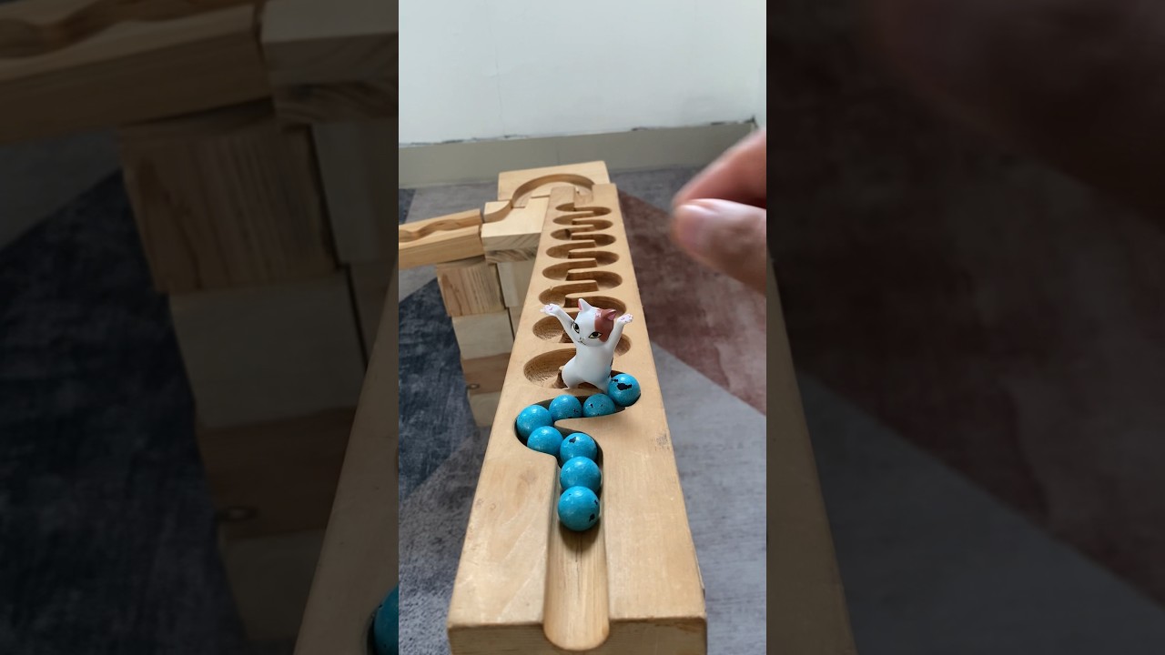 Light Blue Marbles Run Race #marblesasmr #marbleracing #marblesrun #marble #shorts