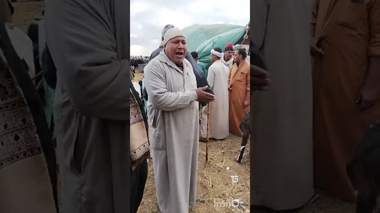 ٤ يناير ٢٠٢٦