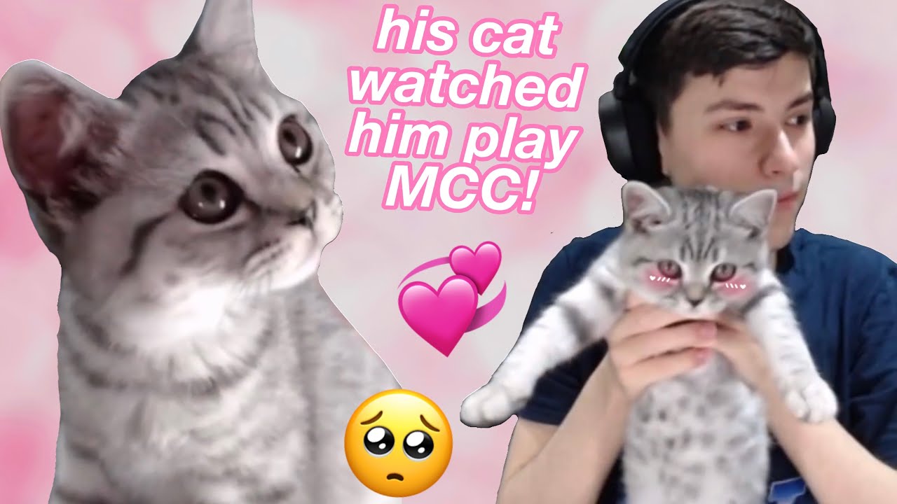 George reveals his NEW cat on stream (SOOOO ADORABLE)