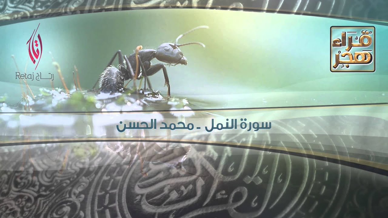 سورة النمل - القارئ محمد الحسن 2016