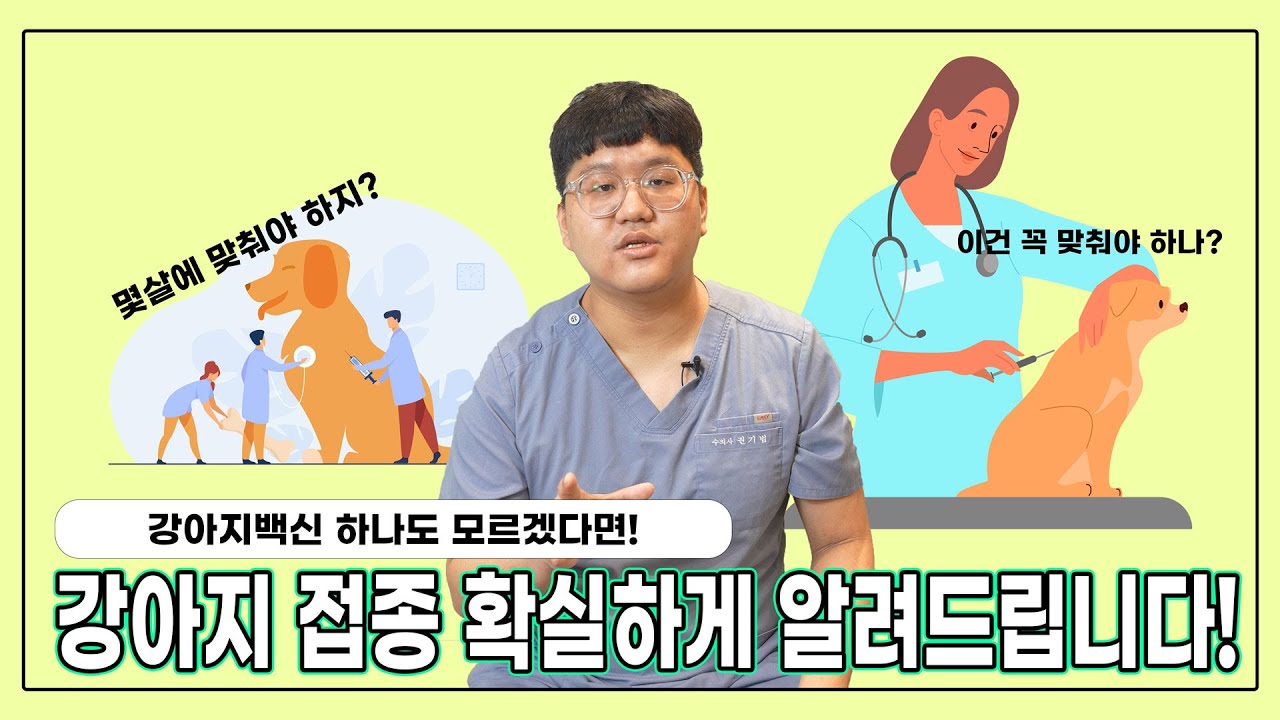 강아지접종 기본개념 쉽고 간단하게 정리해드립니다! [우리동네수의사]
