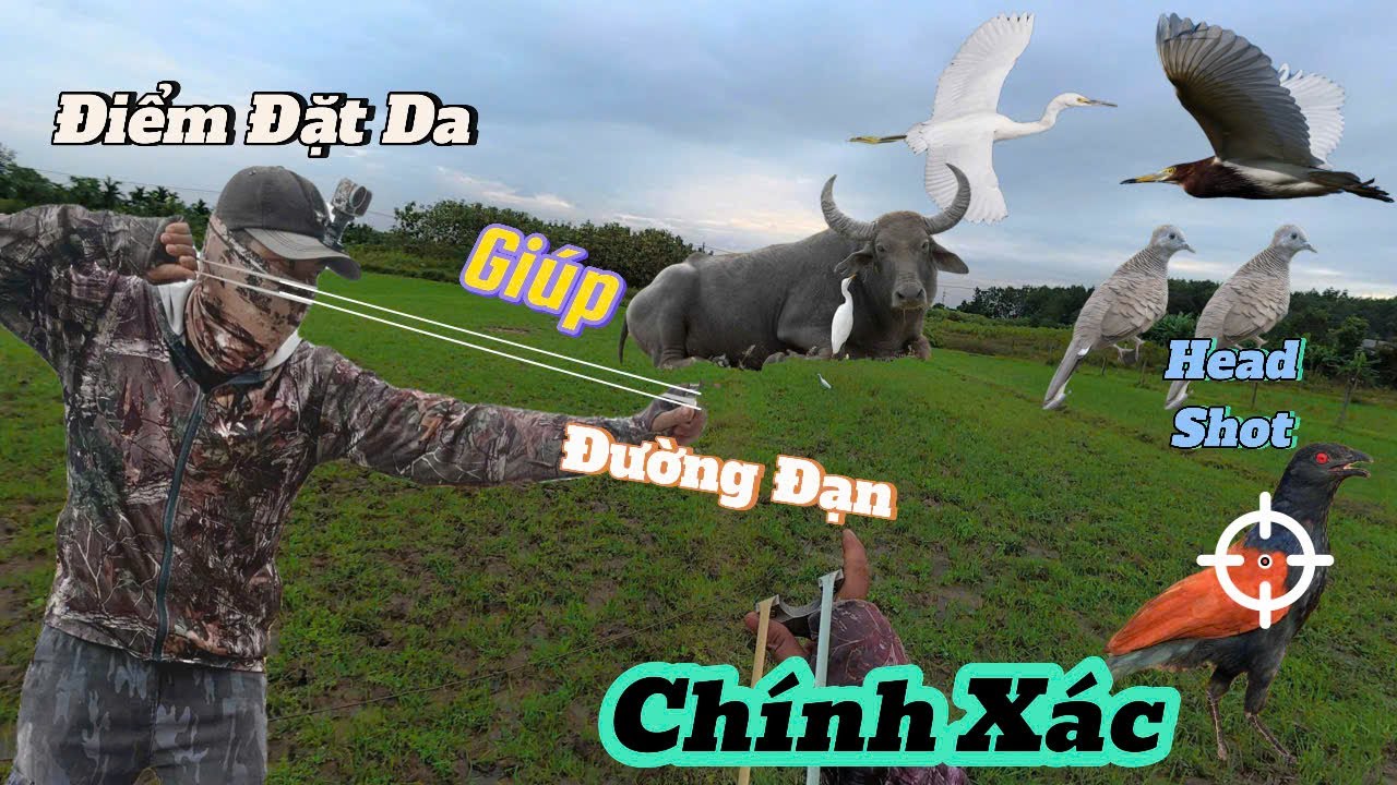 Ná Cao Su Góc 45 Độ Đi Săn Kỹ Năng Tốt  Cũng Cần Thêm 1 Chút May Mắn  || SangSlingShot